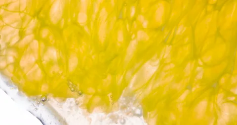 Crush Orange Lobule 4K Stock Footage 96988372