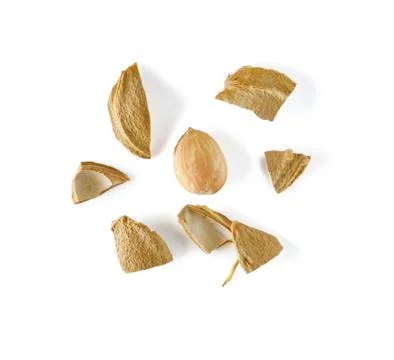 Crushed apricot kernel on isolated white background. Stock Photos