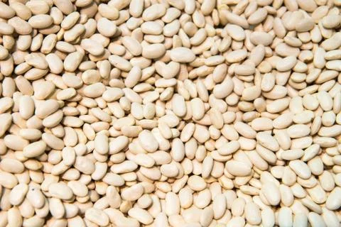 Crushed beans Fotos de archivo