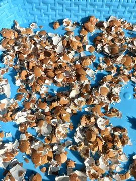 Crushed Brown Eggshells Scattered on Blue Basket Textured Background Fotos de archivo