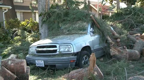 Crushed Car 2 Video stock 10791479