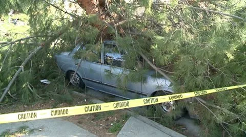 Crushed Car 3 Video stock 10791464