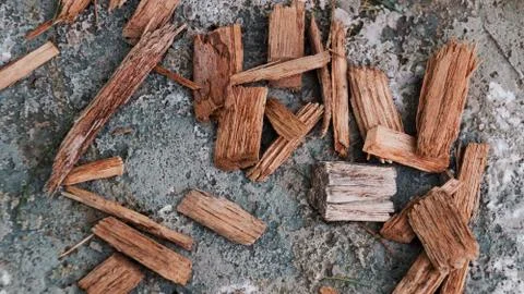 Crushed cedar tree bark on grey concrete surface texture background closeup Foto stock