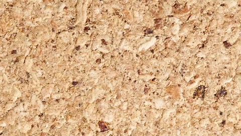 Crushed cork tree, smooth surface, rotating Stock Footage 240645914
