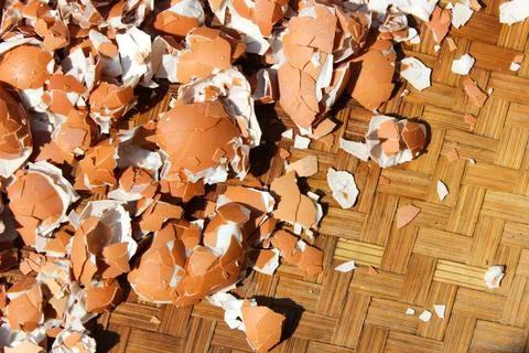 Crushed Egg Shells Stock Photos