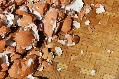 Crushed Egg Shells Stock Photos