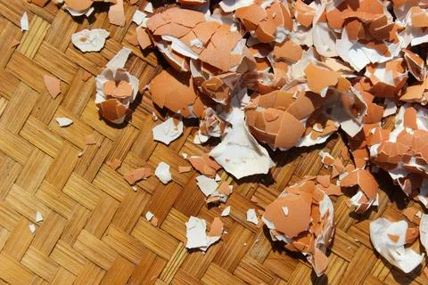 Crushed Egg Shells Stock Photos