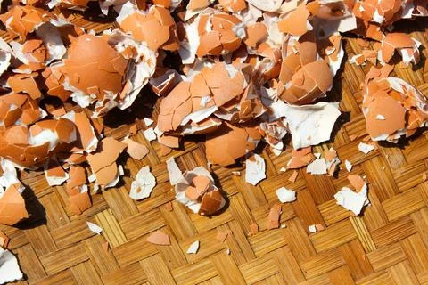 Crushed Egg Shells Stock Photos