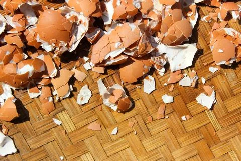  Crushed Egg Shells Stock Photos