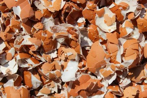 Crushed Egg Shells Stock Photos
