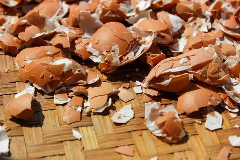 Crushed Egg Shells Stock Photos