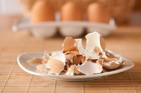 Crushed egg shells on plate Stock Photos