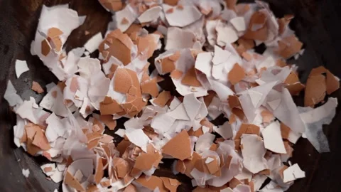 Crushed eggshell for calcium fertilizer preparation Stock Footage 269906992