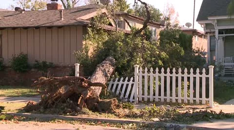 Crushed Fence Video stock 10791627