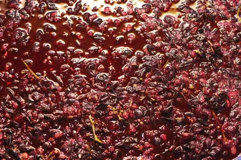 Crushed grapes Foto stock