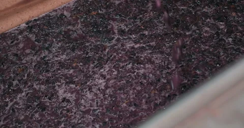 Crushed grapes ready for fermentation. Wine production process. Stock Footage 247943537