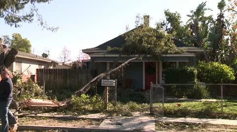 Crushed House Video stock 10791431