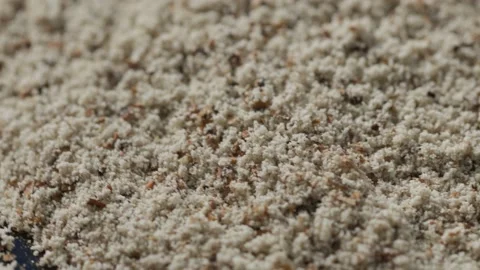 Crushed pine nuts rotate in a circle Stock Footage 209480908
