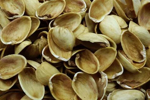 Crushed pistachio shells close up. Stock Photos