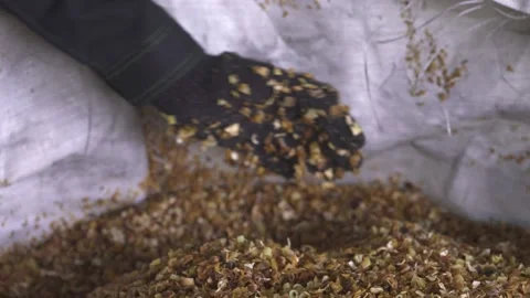 Crushed plastic in a bag at factory, close-up of small fractions Video stock 164514959