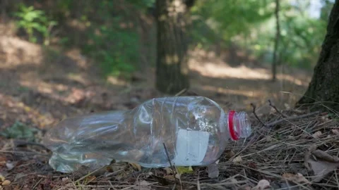 Crushed Plastic Bottle Discarded on Dry Ground in Sunny Pine Forest Stock Footage 343573342