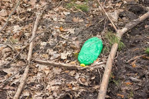 A crushed plastic bottle left in the forest Stock Photos
