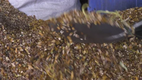 Crushed plastic before processing at the factory Stock Footage 164513388