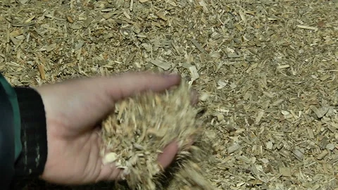 Crushed sawdust in the hand Stock-Footage 85650692