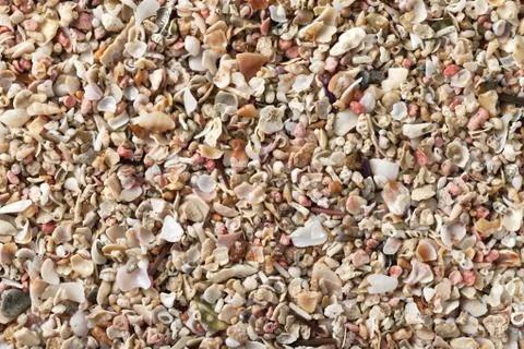 Crushed seashells Stock Photos