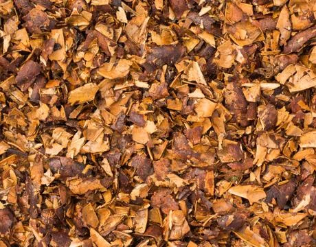Crushed seed nuts Stock Photos