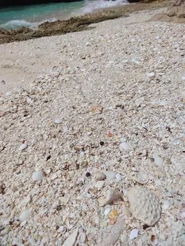 Crushed Shells and Rocky Shore at Bahia de las Aguilas DR Stock Photos
