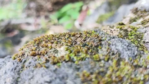 Crushed stone Vídeos de archivo 286953398