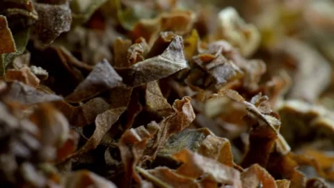 Crushed tobacco leaf close-up. macro photography. slow motion closeup Stock Footage 228121114