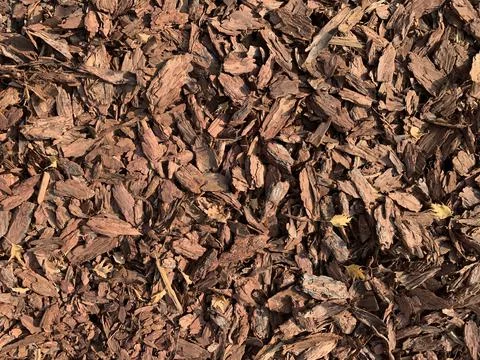 Crushed tree bark with fallen small leaves on the ground Foto stock