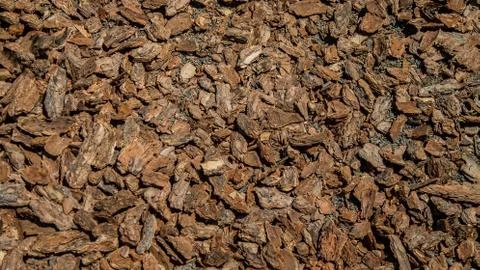 Crushed tree bark texture background closeup. Shredded brown tree bark for de Stock Photos