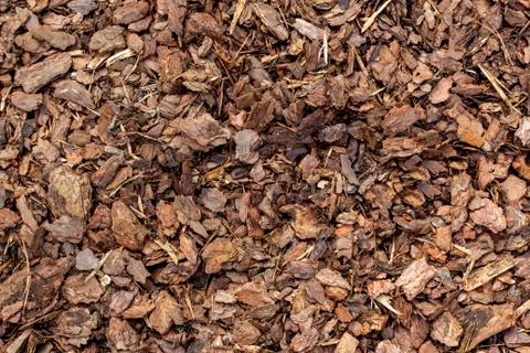 Crushed tree bark texture closeup. Wooden mulch ground's fragment as an abstract Stock Photos