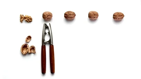 Crushed Walnuts Stock Footage 122644530