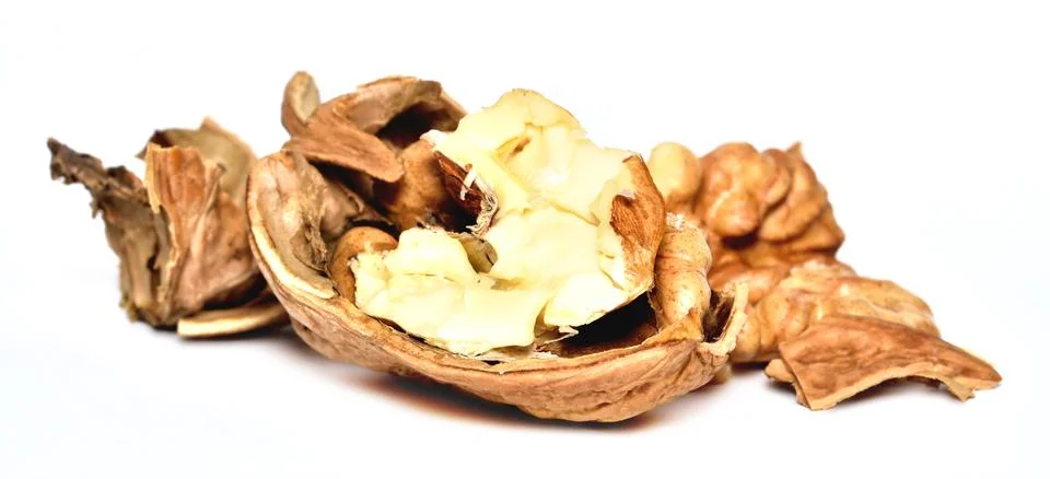 Crushed walnuts with nutshell isolated on white background Stock Photos