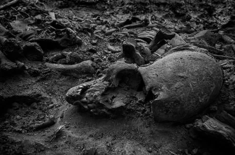 Crushed by war ... Stock Photos