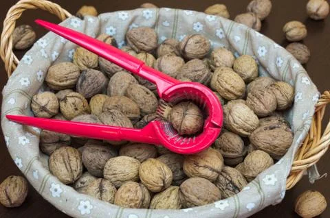 Crusher with filbert-nuts Stock Photos