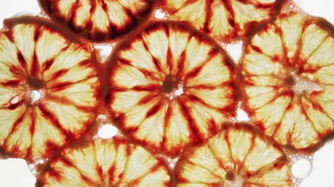 Crushing and squeezing red orange fruit slices. Crush fruits on white background Stock Footage 151994983