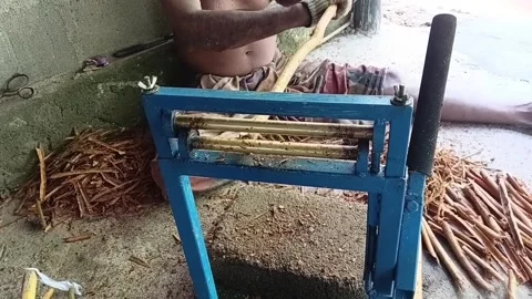 Crushing Cinnamon Bark with Manual Machine Stock-Footage 347465786