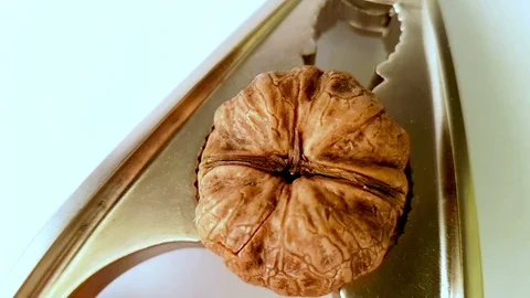 Crushing a nut with a nutcracker Video stock 101274643