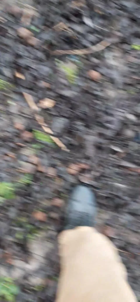 Crushing nuts Stock Footage 230628122