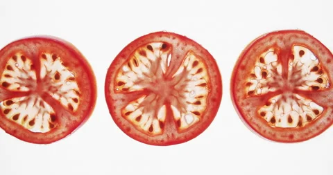 Crushing squeezing tomato slices. Squeeze fresh red tomatoes on white background Stock Footage 151995129