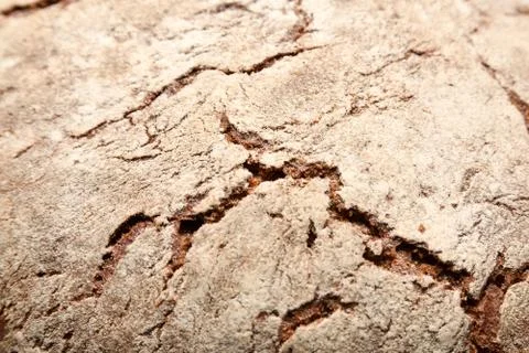 Crust of rye bread Stock Photos