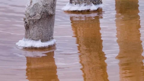 A crust of salt on the surface of a hypersalted lake, like ice. Ice salt current Stock Footage 342058563
