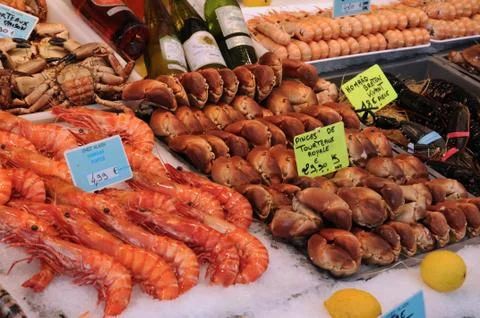 Crustacean Stock Photos