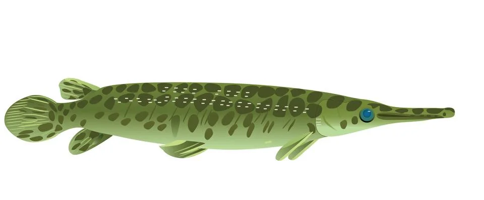 Crustacean pike. Stock Illustration