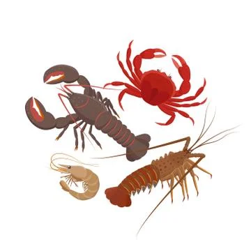 Crustaceans set of vector illustrations in flat design isolated on white Stock Illustration